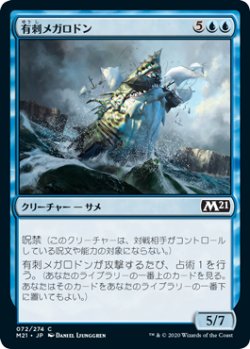 画像1: 有刺メガロドン/Spined Megalodon (M21)《Foil》