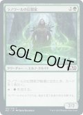 ラノワールの幻想家/Llanowar Visionary (M21)