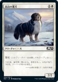 高山の番犬/Alpine Watchdog (M21)