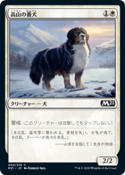 画像1: 高山の番犬/Alpine Watchdog (M21)