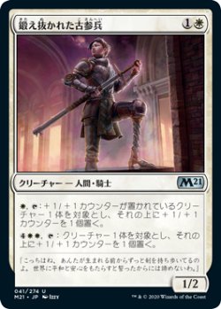 画像1: 鍛え抜かれた古参兵/Tempered Veteran (M21)《Foil》