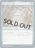 豊かな実りの聖域/Sanctum of Fruitful Harvest (M21)《Foil》