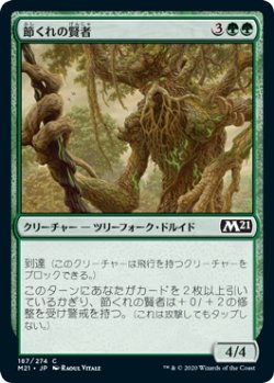 画像1: 節くれの賢者/Gnarled Sage (M21)《Foil》