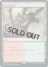 火の灯る茂み/Fire-Lit Thicket (2XM)