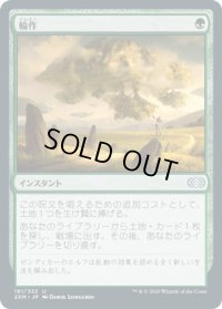 輪作/Crop Rotation (2XM)