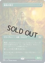 貴族の教主/Noble Hierarch (2XM)【拡張アート枠】