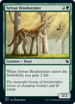 画像1: 森の刷毛履き/Sylvan Brushstrider (JMP)