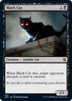 画像1: 黒猫/Black Cat (JMP)