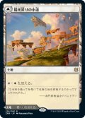 陽光昇りの小道/Brightclimb Pathway (ZNR)