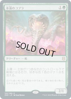 画像1: 水蓮のコブラ/Lotus Cobra (ZNR)