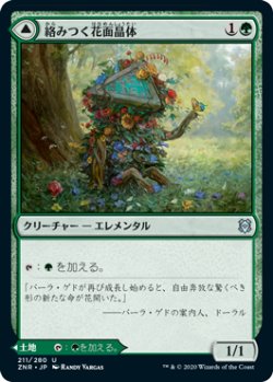 画像1: 絡みつく花面晶体/Tangled Florahedron (ZNR)《Foil》