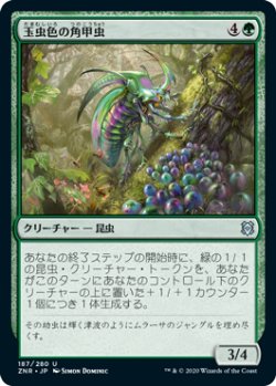 画像1: 玉虫色の角甲虫/Iridescent Hornbeetle (ZNR)《Foil》