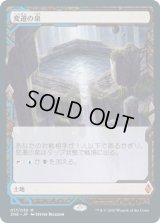 変遷の泉/Morphic Pool (ZNE)
