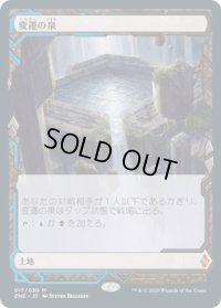 変遷の泉/Morphic Pool (ZNE)