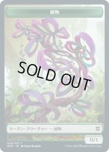 植物 トークン/Plant Token (ZNR)