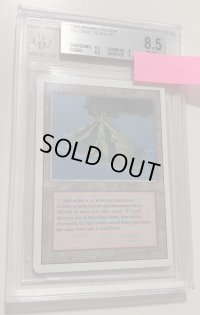 【BGS8.5】Volcanic Island (3ED)　B
