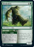 豆の木の巨人/Beanstalk Giant (ZNC)