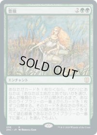 豊穣/Abundance (ZNC)