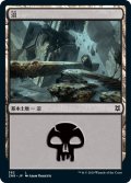 沼/Swamp (ZNR)