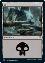 沼/Swamp (ZNR)