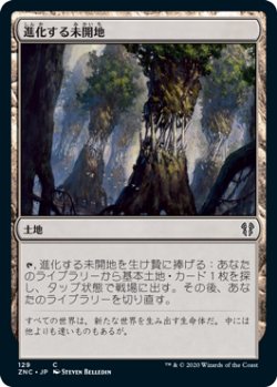 画像1: 進化する未開地/Evolving Wilds (ZNC)