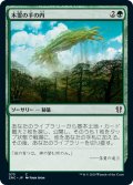 木霊の手の内/Kodama's Reach (ZNC)