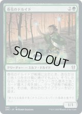 春花のドルイド/Springbloom Druid (ZNC)