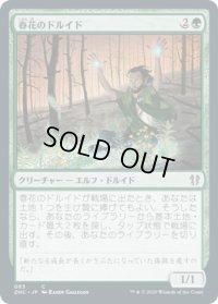 春花のドルイド/Springbloom Druid (ZNC)