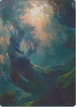 画像1: 【イラストコレクション：箔押し】森/Forest 【No.280】 (ZNR)