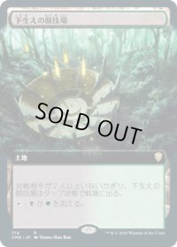 下生えの競技場/Undergrowth Stadium (CMR)【拡張アート版】