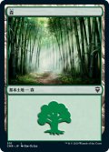 森/Forest 【Ver.1】 (CMR)【統率者デッキ】