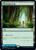 樹皮路の小道/Barkchannel Pathway (KHM)《Foil》