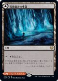 荒廃踏みの小道/Blightstep Pathway (KHM)