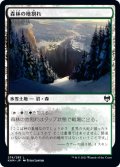 森林の地割れ/Woodland Chasm (KHM)《Foil》