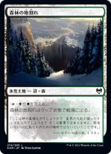 森林の地割れ/Woodland Chasm (KHM)