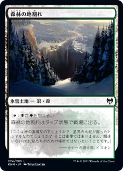 画像1: 森林の地割れ/Woodland Chasm (KHM)