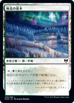 画像1: 極北の並木/Arctic Treeline (KHM)《Foil》