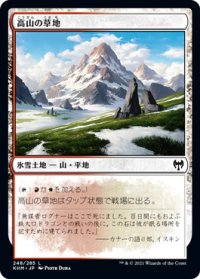 高山の草地/Alpine Meadow (KHM)