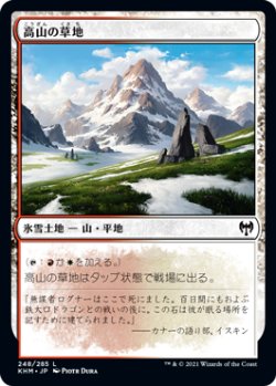 画像1: 高山の草地/Alpine Meadow (KHM)《Foil》