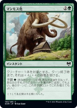 画像1: マンモス化/Mammoth Growth (KHM)《Foil》