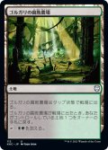 ゴルガリの腐敗農場/Golgari Rot Farm (KHC)