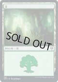 森/Forest (KHM)《Foil》