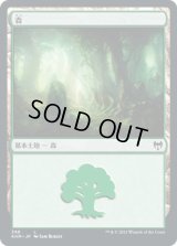 森/Forest (KHM)《Foil》