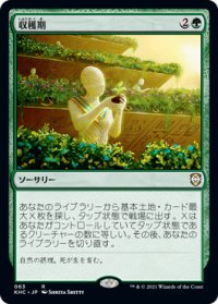 収穫期/Harvest Season (KHC)