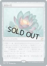 睡蓮の花/Lotus Bloom (TSR)