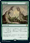 生命と枝/Life and Limb (TSR)