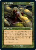 進化の飛躍/Evolutionary Leap (TSR)【タイムシフト】《Foil》