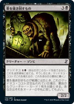 画像1: 墓を掻き回すもの/Grave Scrabbler (TSR)《Foil》