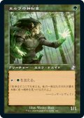 エルフの神秘家/Elvish Mystic (TSR)【タイムシフト】