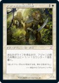 アジャニの群れ仲間/Ajani's Pridemate (TSR)【タイムシフト】《Foil》